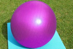 כדור פיטבול